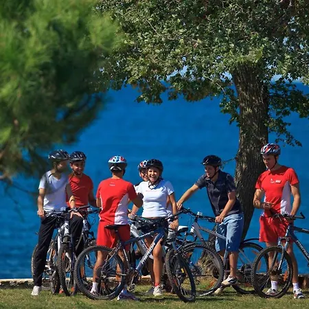 Amazing In With Wifi Lägenhet